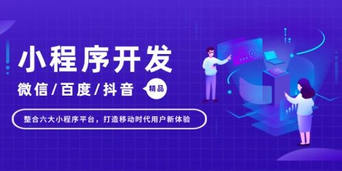 桂东网页营销软件定制开发外包