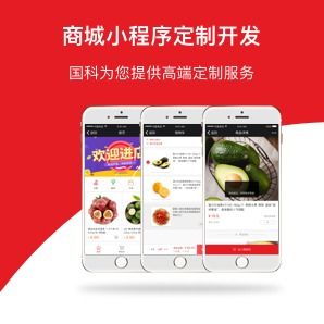 沈阳品牌app开发优质企业